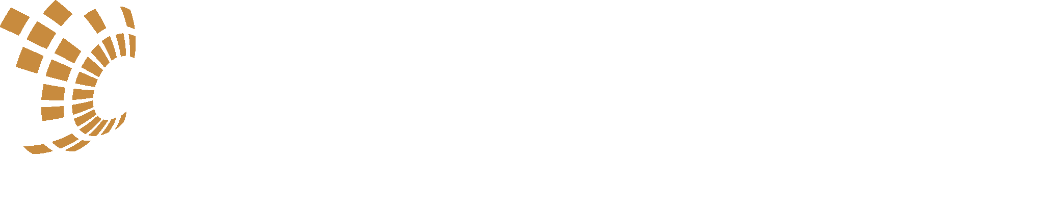 KLO Financial logo